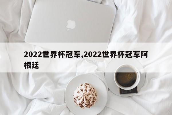 2022世界杯冠军,2022世界杯冠军阿根廷